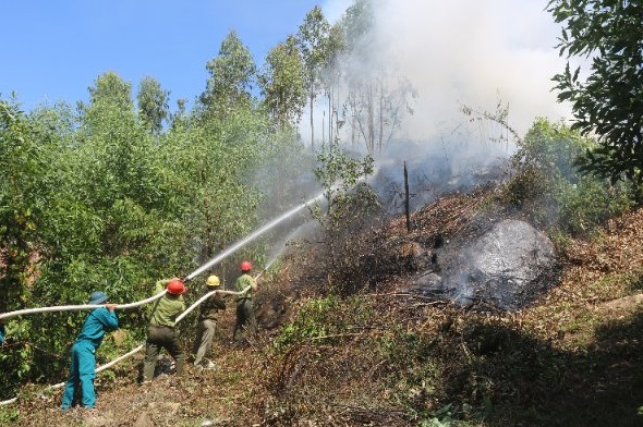 Phường Phổ Thạnh tổ chức diễn tập chữa cháy rừng năm 2022