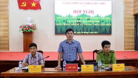 Thị xã Đức Phổ triển khai công tác Lâm nghiệp thời gian tới