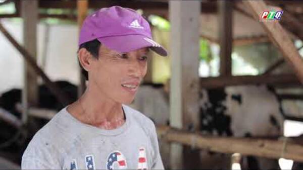 Phóng sự Đức Phổ 1 nhiệm kỳ.