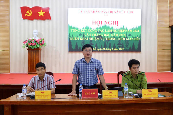 Thị xã Đức Phổ triển khai công tác Lâm nghiệp thời gian tới