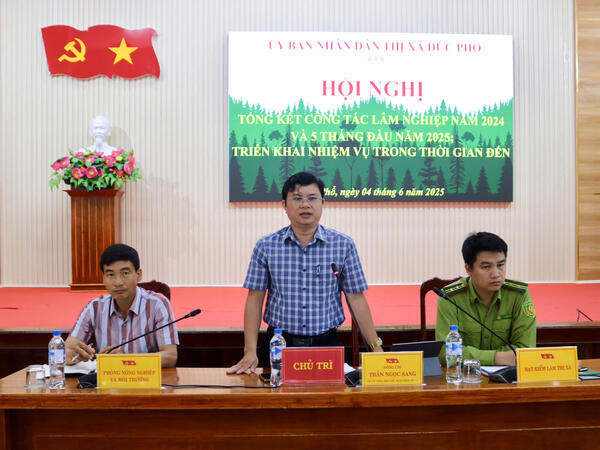 Thị xã Đức Phổ triển khai công tác Lâm nghiệp thời gian tới